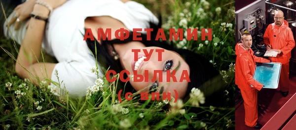 сатива Алексин